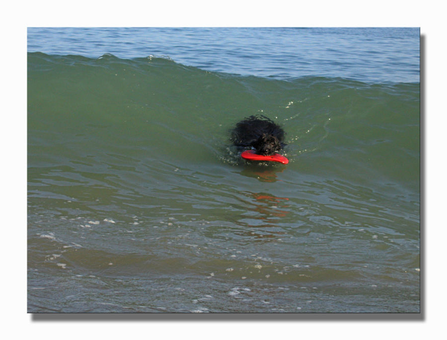 Myself beim Surfen  ..... und auf geht's ....!