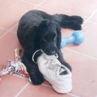 Myself, blutjung mit Turnschuh 1997 ...