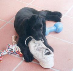 Myself, blutjung mit Turnschuh 1997 ...