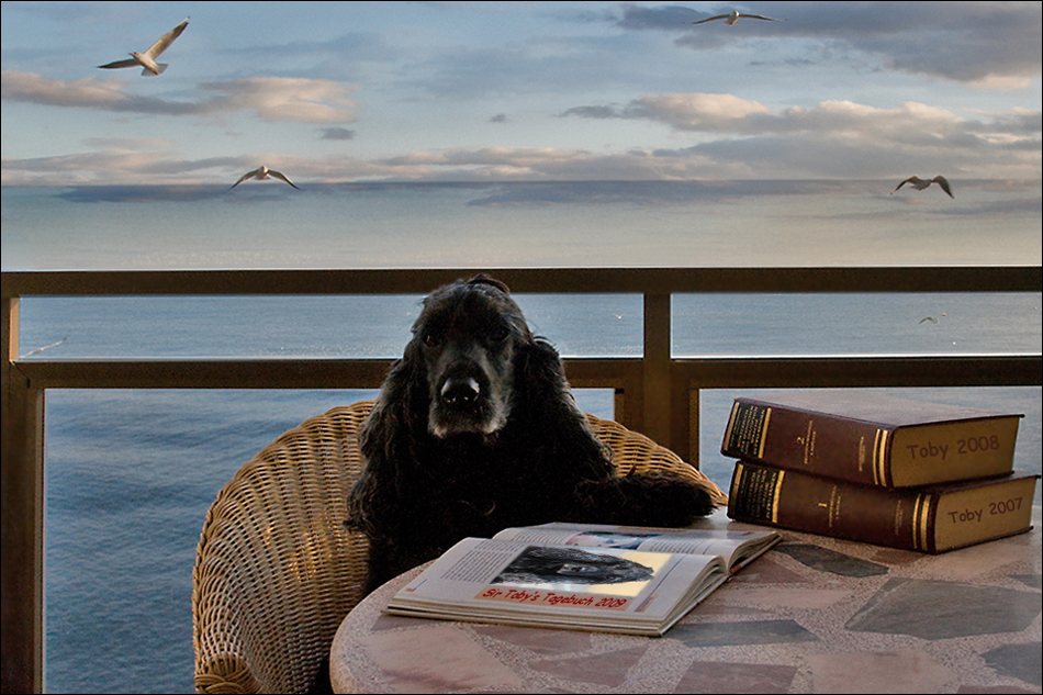 Myself in meinem Bureau 2009 ...