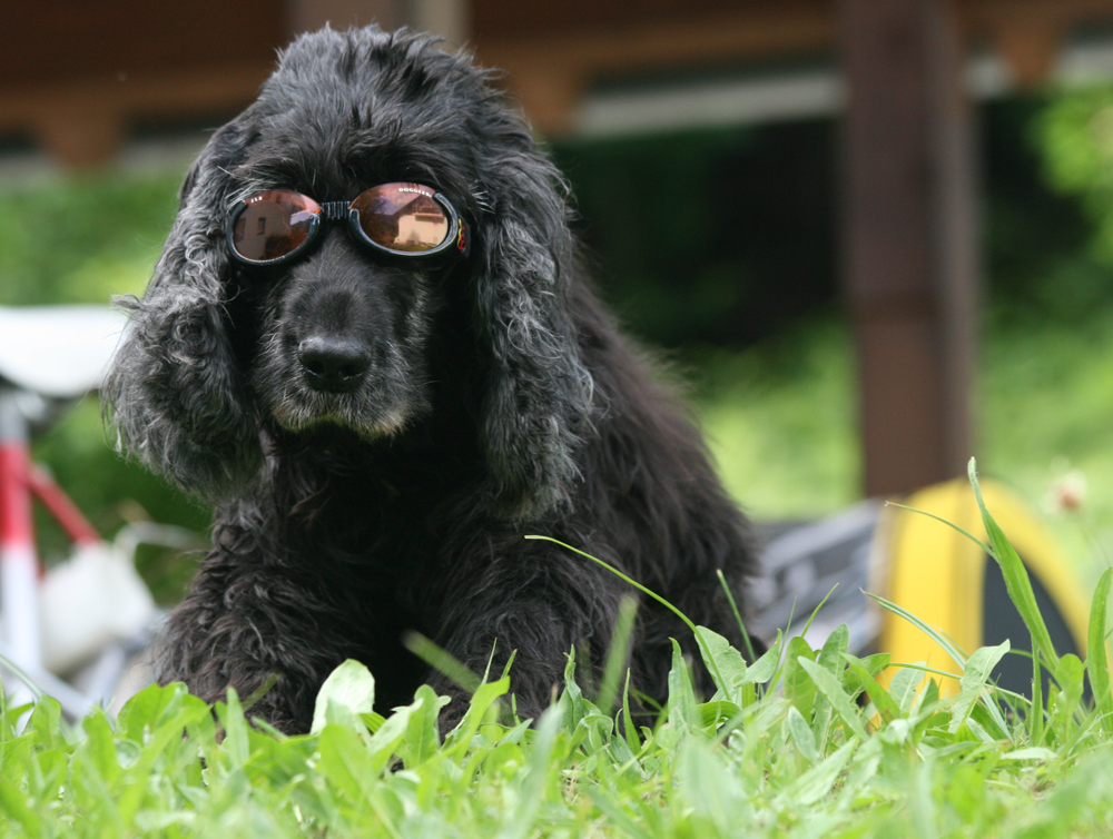 Myself mit Sonnenbrille ...