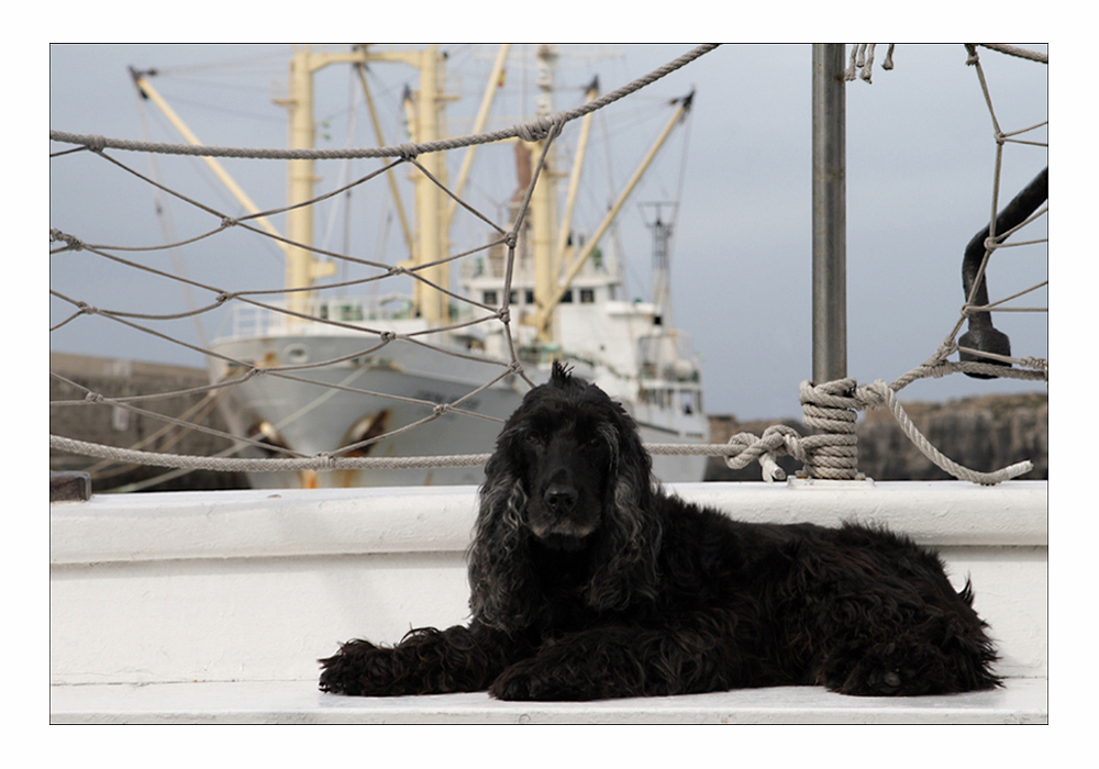 Myself on Whale Watch Tour ...