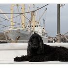 Myself on Whale Watch Tour ...