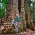 Myself sitting on an old eucalyptus tree