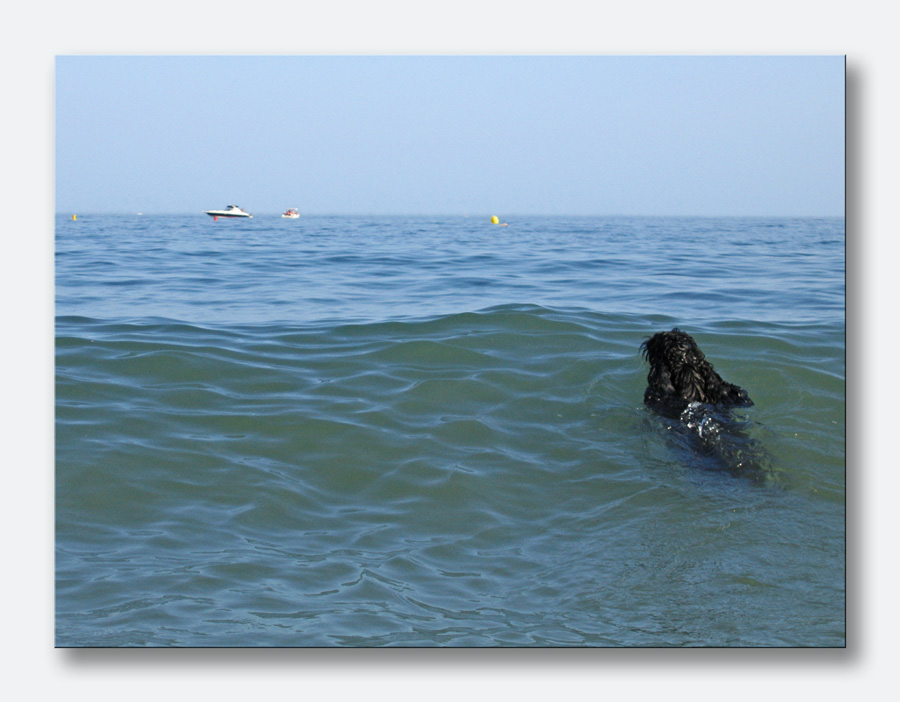 Myself und das Meer ...