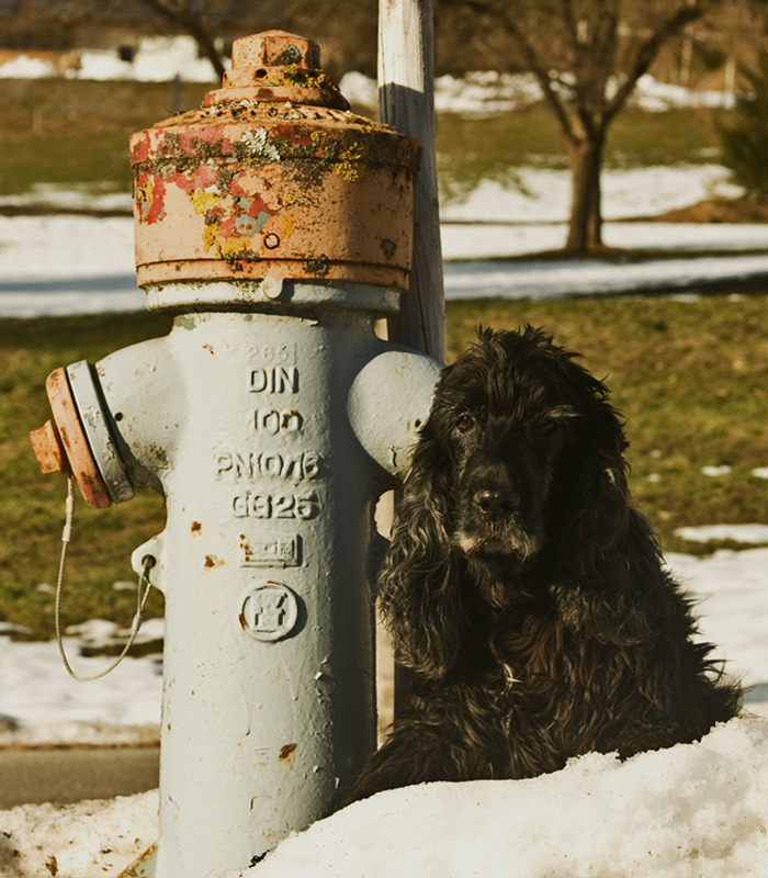 Myself und der Hydrant fuer Japan ...