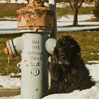 Myself und der Hydrant fuer Japan ...