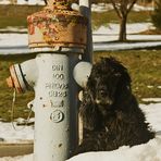 Myself und der Hydrant fuer Japan ...