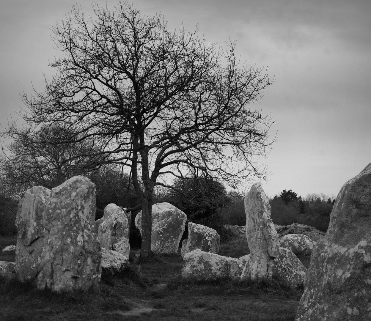 Mystère des Ages.......