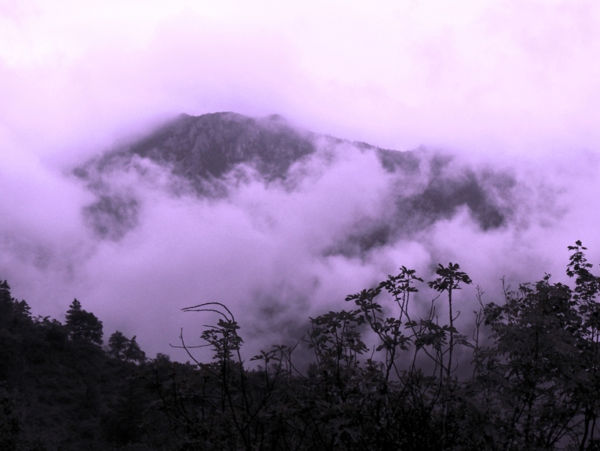 Mystérieux Verdon