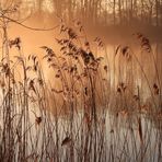 Mysteriös am See