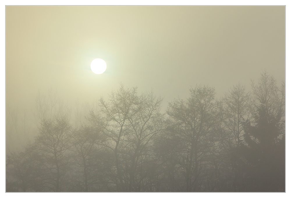 Mysteriöses Morgenlicht - denn so noch nicht gesehen...