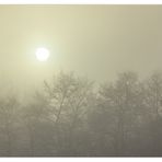 Mysteriöses Morgenlicht - denn so noch nicht gesehen...