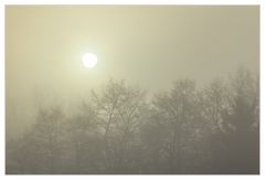 Mysteriöses Morgenlicht - denn so noch nicht gesehen...