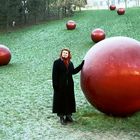 Mysterious Frozen Red Globes I