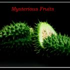 Mysterious Fruits