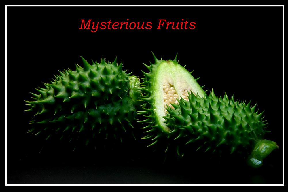 Mysterious Fruits