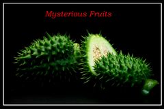 Mysterious Fruits