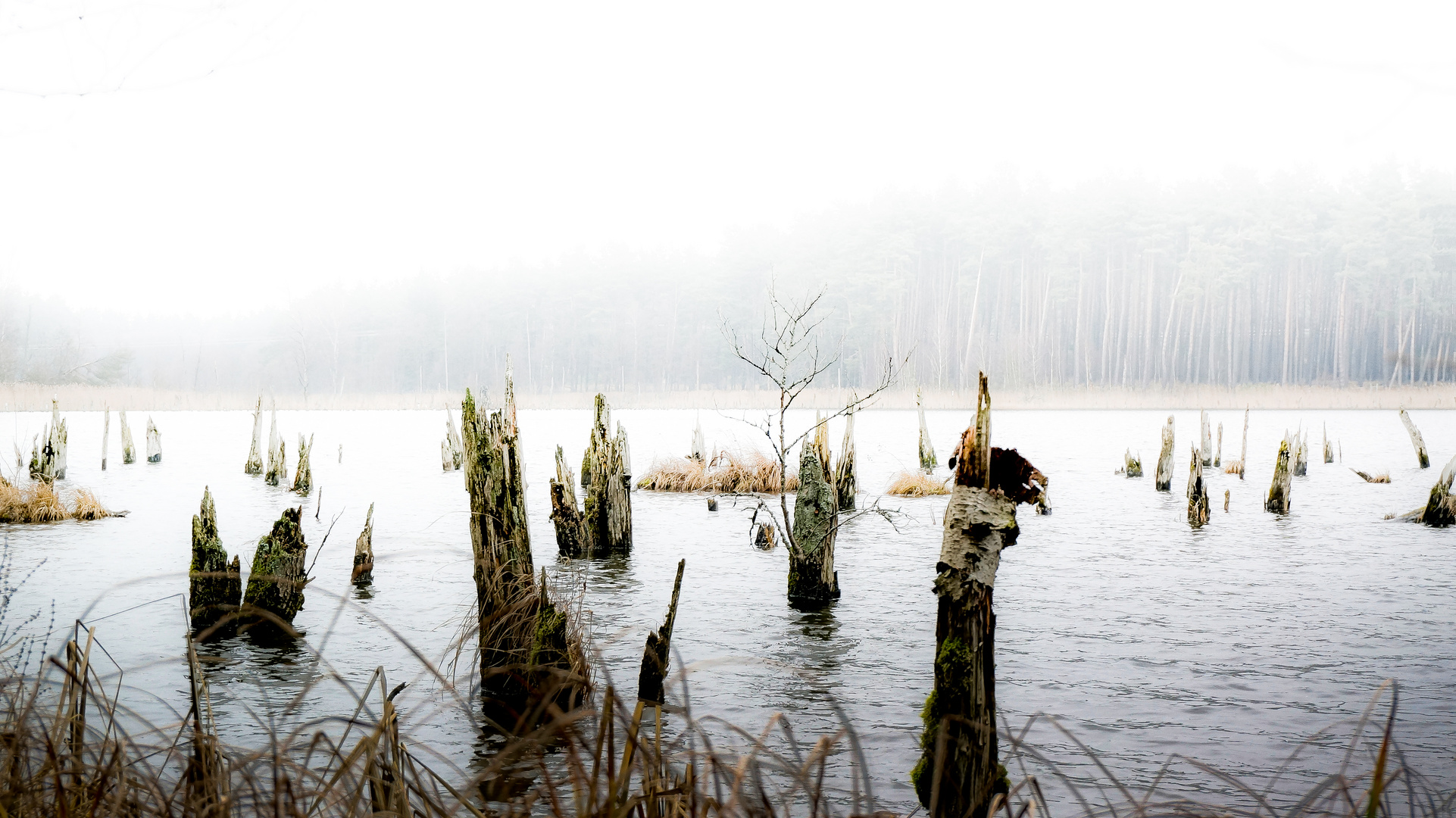 Mysterious lake