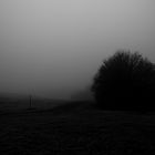 Mysterium Nebel