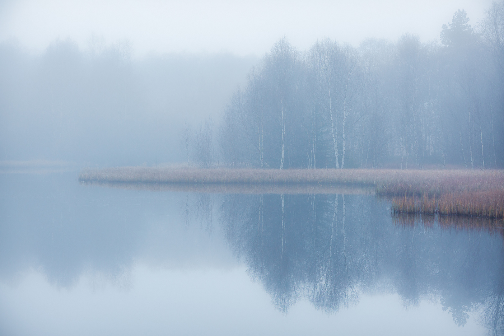 ~~ Mystery Lake ~~