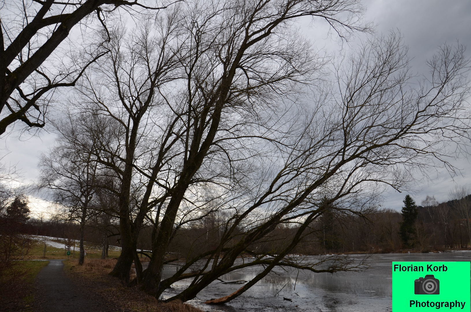 Mysthische Landschaft am See mit Baum