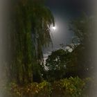 mystic autumn night  - es spukt heute Nacht