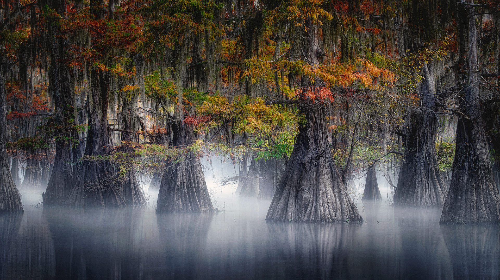 MYSTIC BAYOU