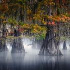 MYSTIC BAYOU