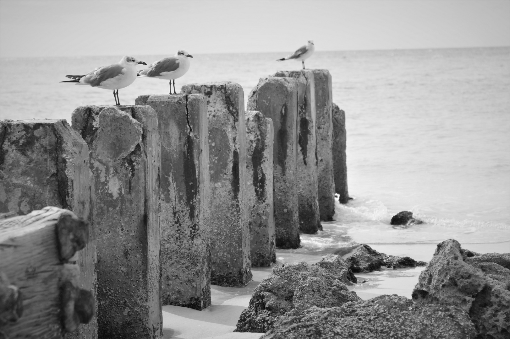 Mystic beach scenery