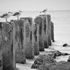 Mystic beach scenery