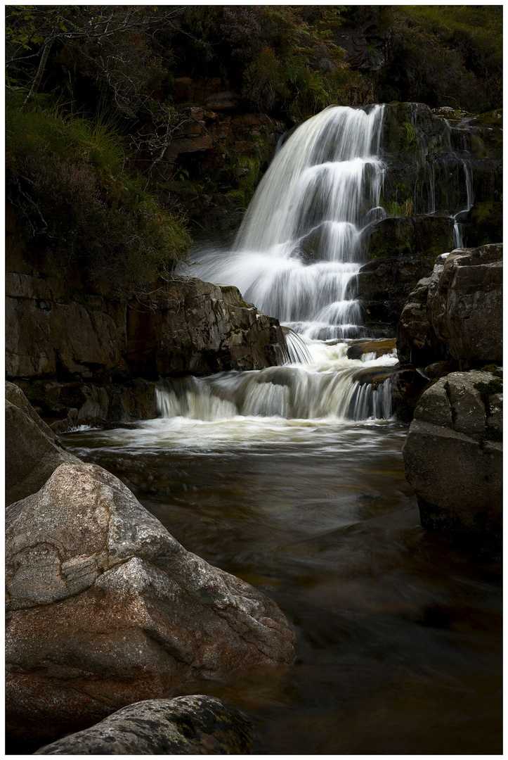 ~~ Mystic Cascade ~~