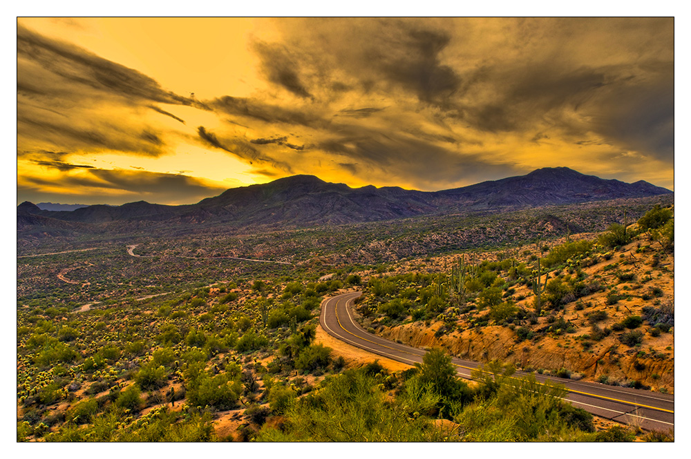 Mystic Desert Road