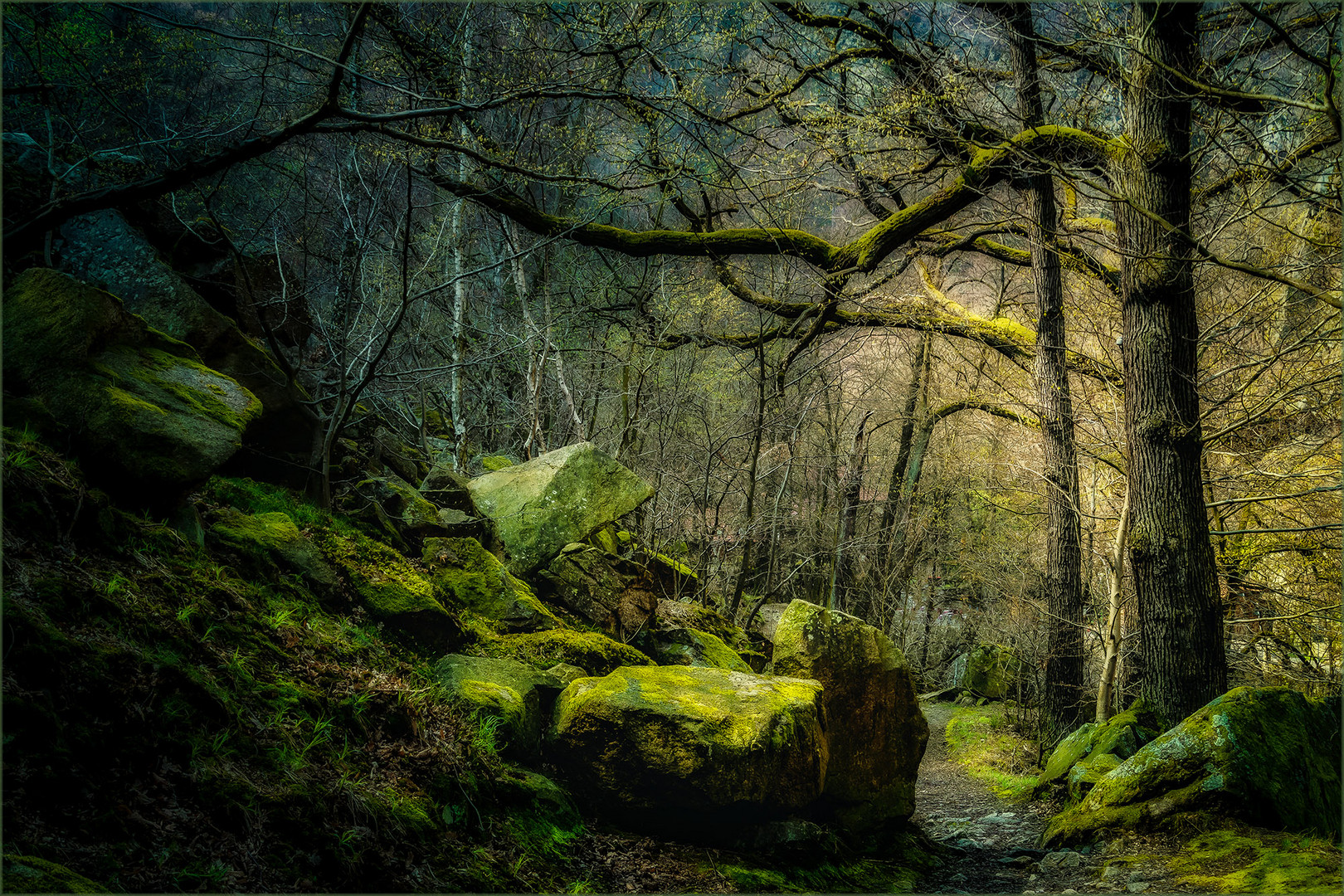 mystic forest Foto Bild deutschland europe sachsen mystic forest Foto Bild deutschland europe sachsen