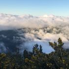 Mystic Island - Impressions Of Madeira