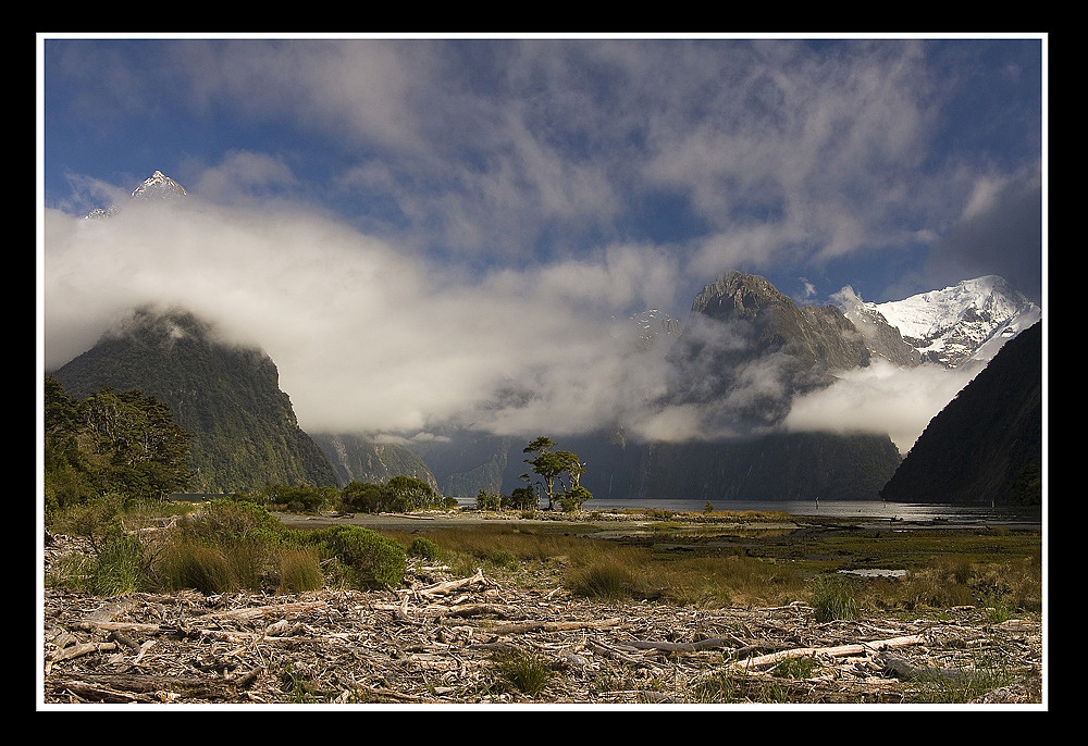 Mystic Lights Milford Sound New Zealand