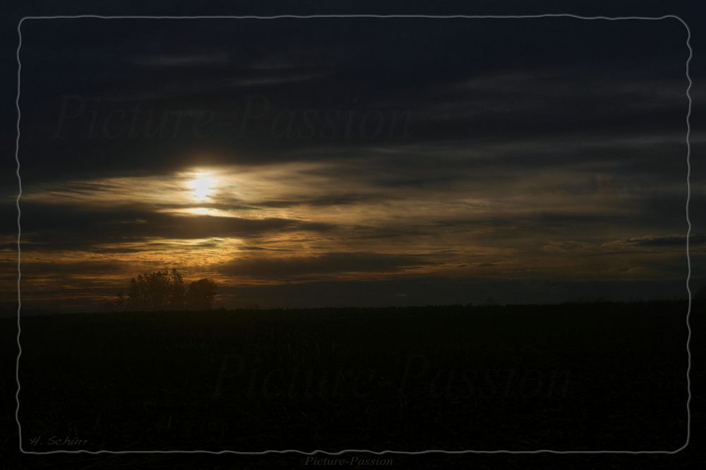 "Mystic Morning"