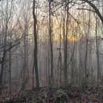 Mystic Morning (1)