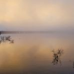 Mystic Morning (2) 