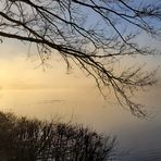 Mystic Morning