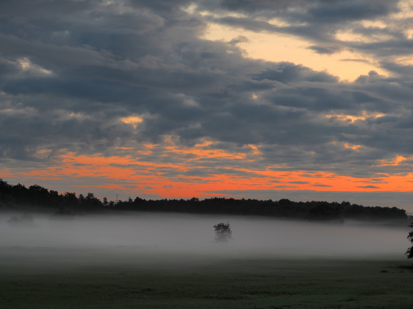 mystic morning