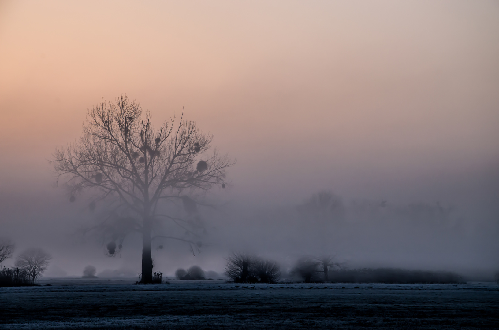 mystic morning