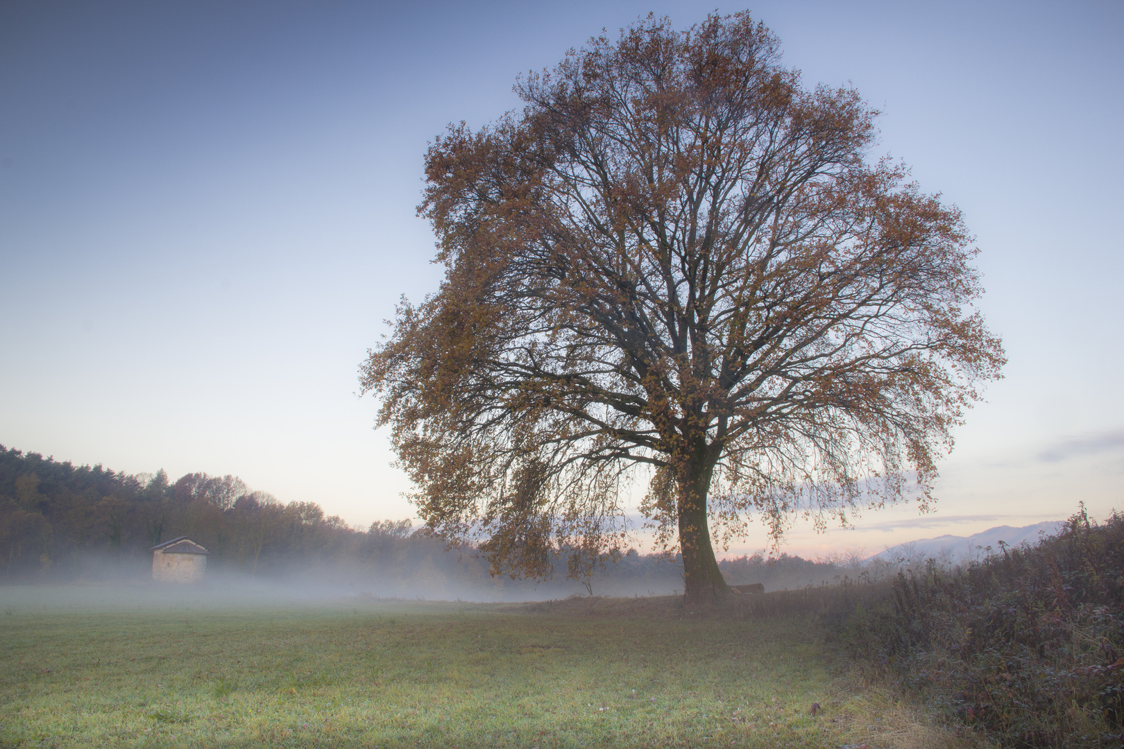 mystic morning