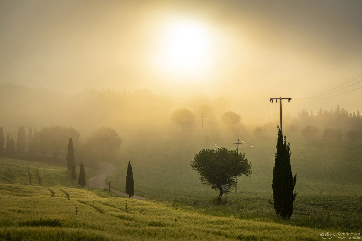 Mystic morning at Tuscany