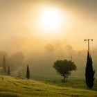 Mystic morning at Tuscany
