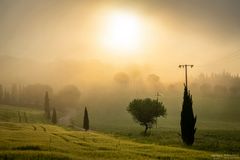 Mystic morning at Tuscany