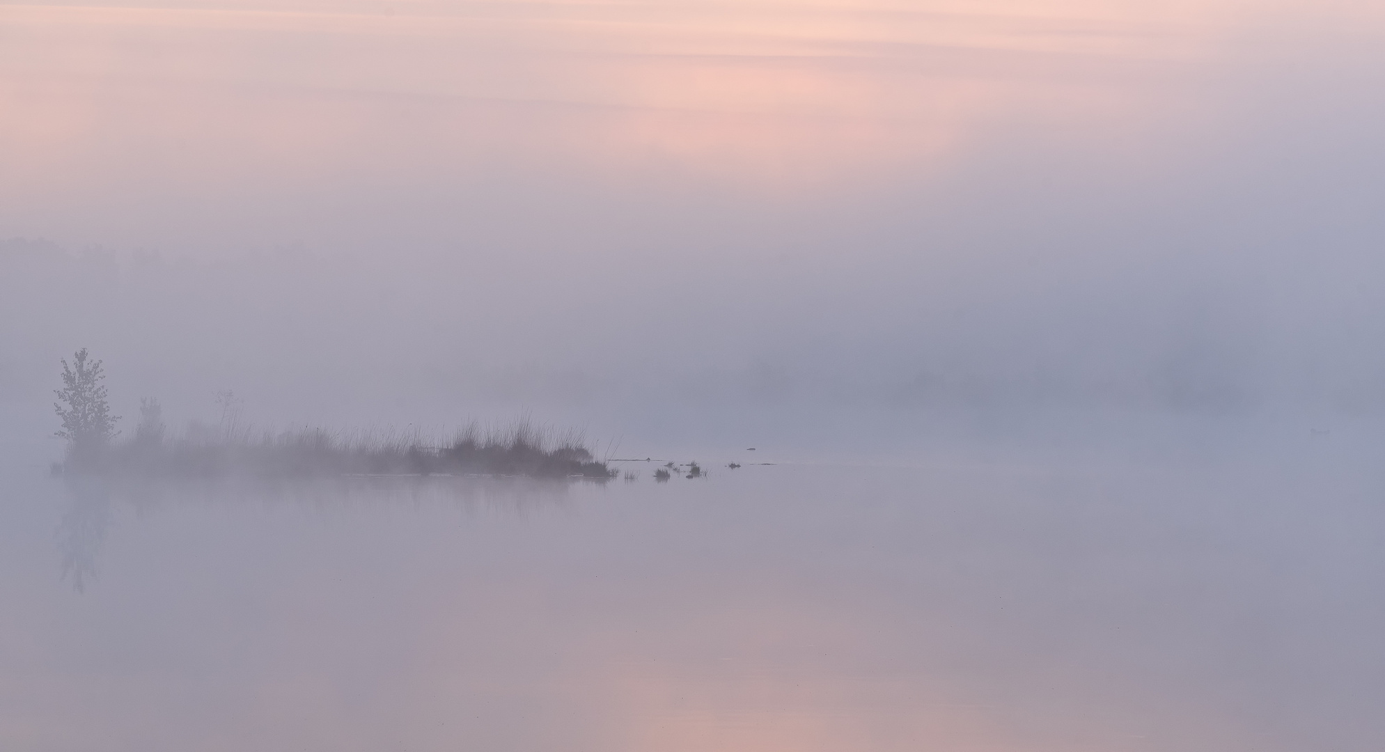 __mystic morning__