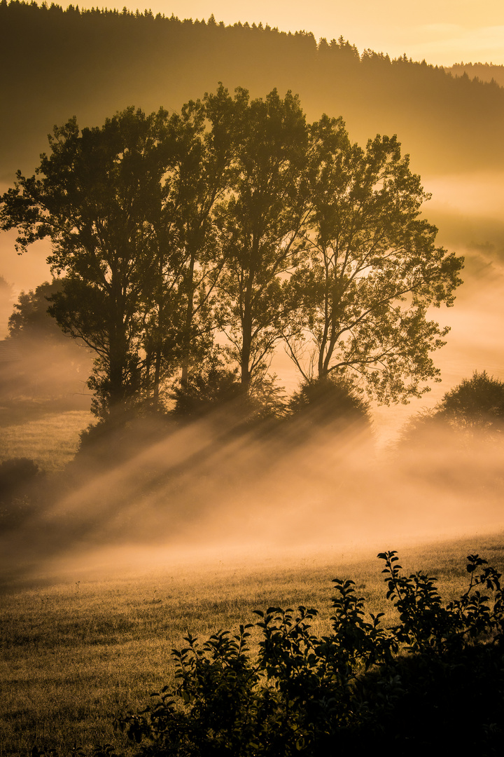 Mystic Morning heute morgen