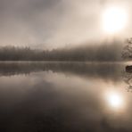 Mystic Morning III