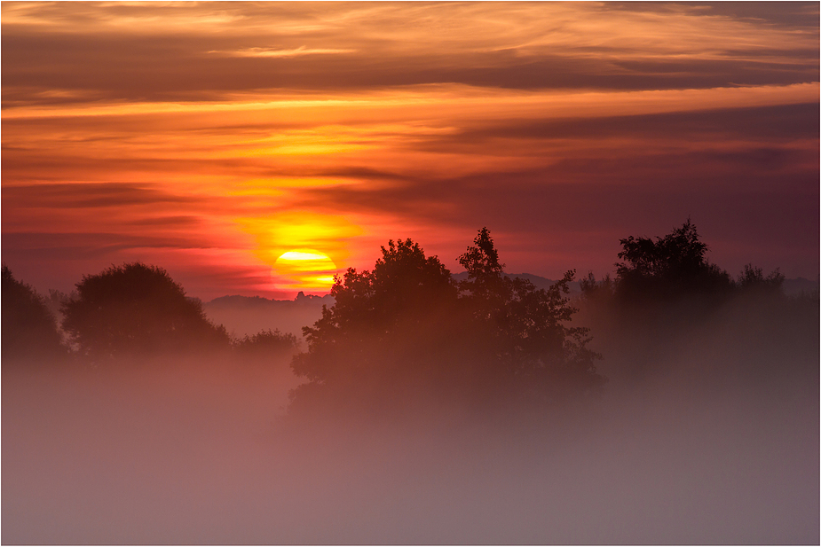 mystic morning sun